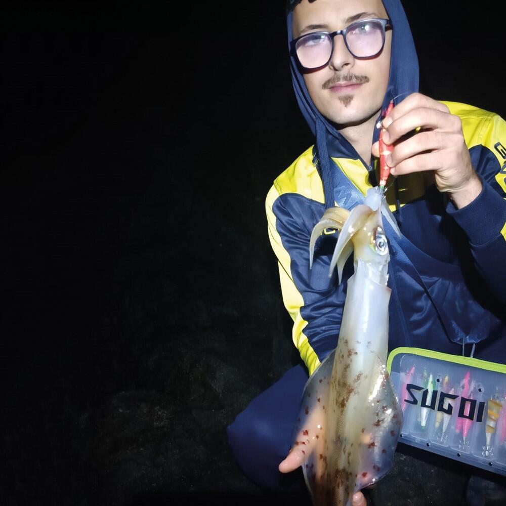 Squid Eging AKAMI SAKANA EGI|COLOR GST - GREEN|EGI 3.5 6/7