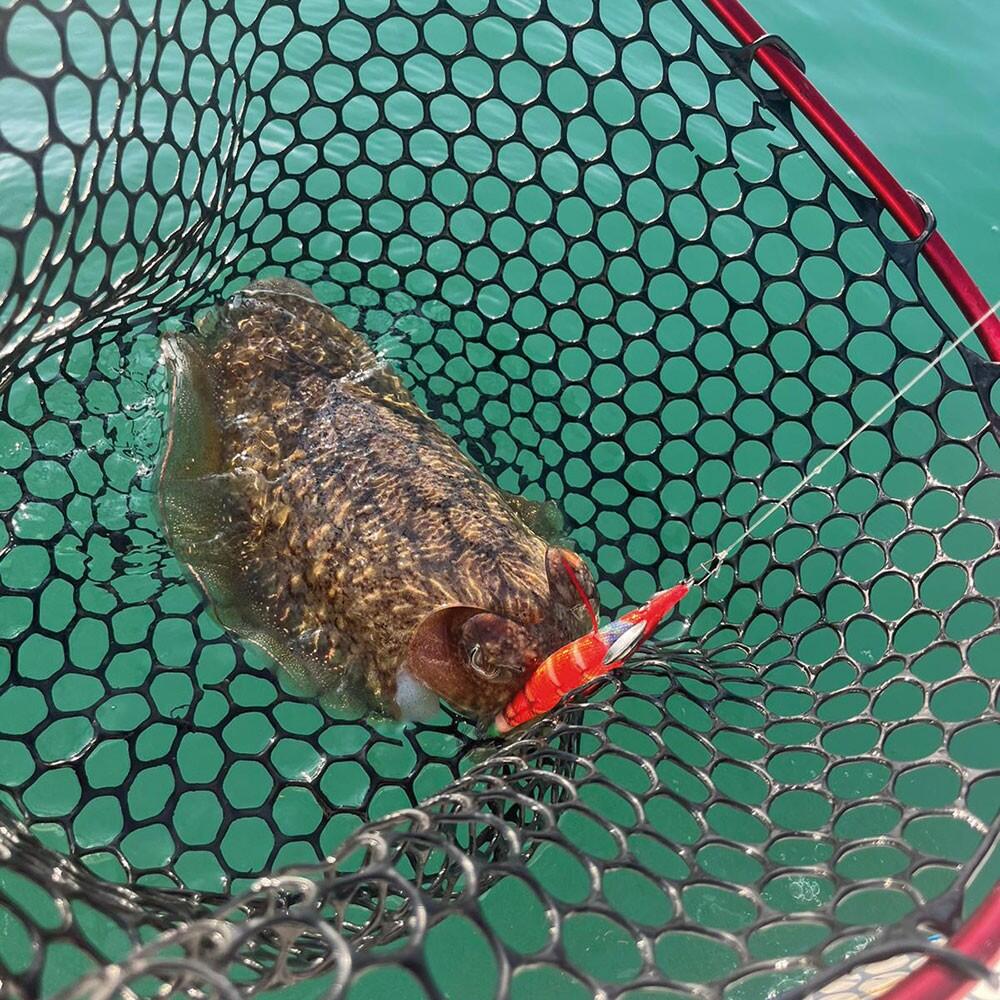 Squid Eging AKAMI SAKANA EGI|COLOR GST - GREEN|EGI 3.5 4/7
