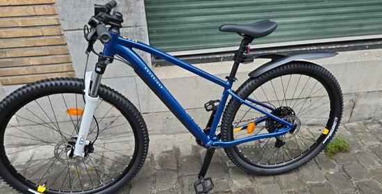 Tussen Particulieren - Volwassen fiets
