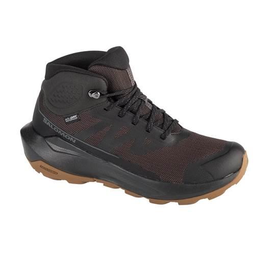 SALOMON picture