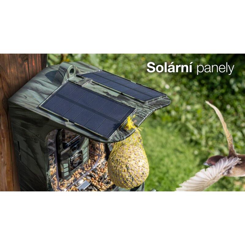 EVOLVEO StrongVision BirdFeeder - krmítko pro ptáky s kamerou a solárním panelem