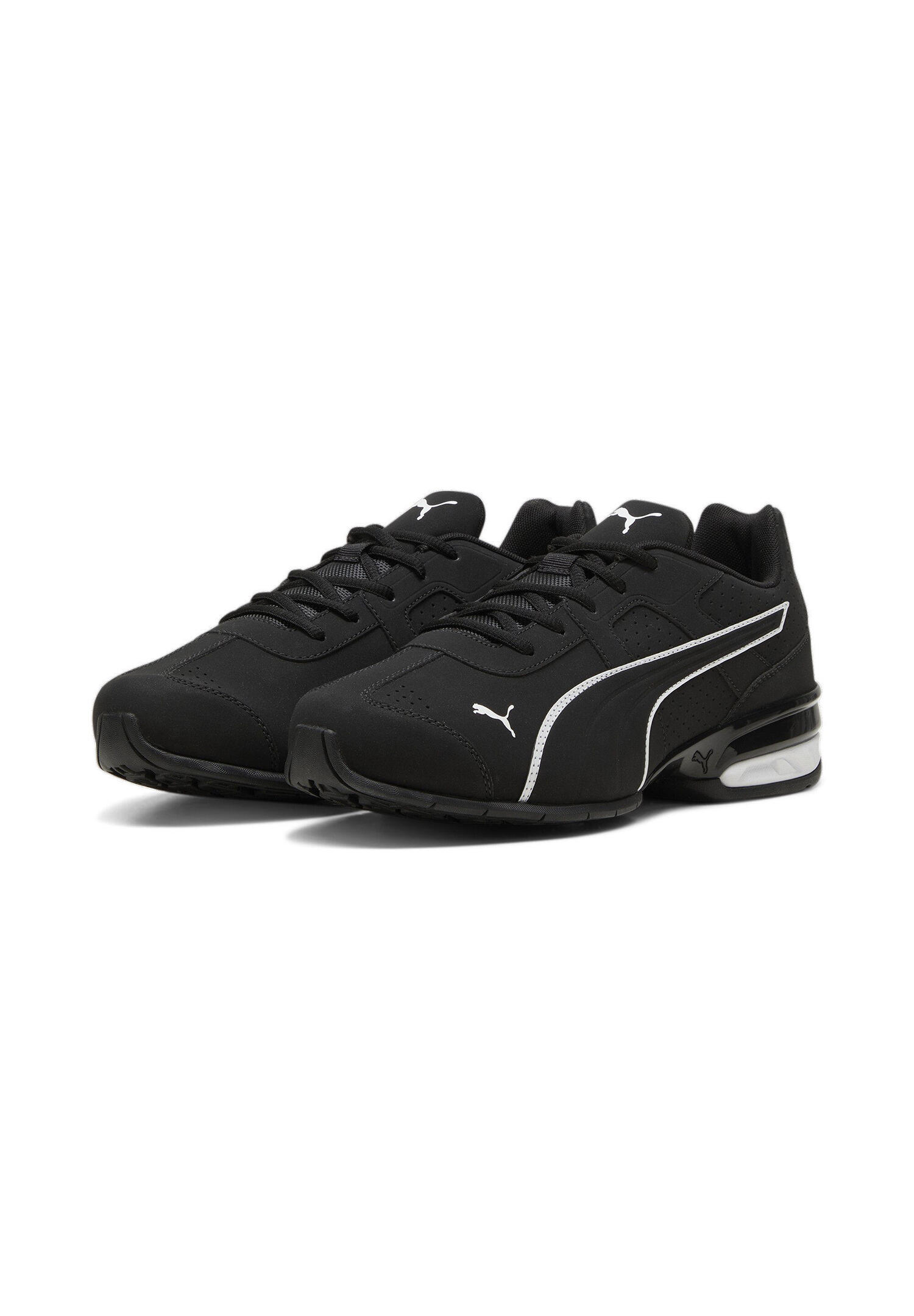 PUMA picture