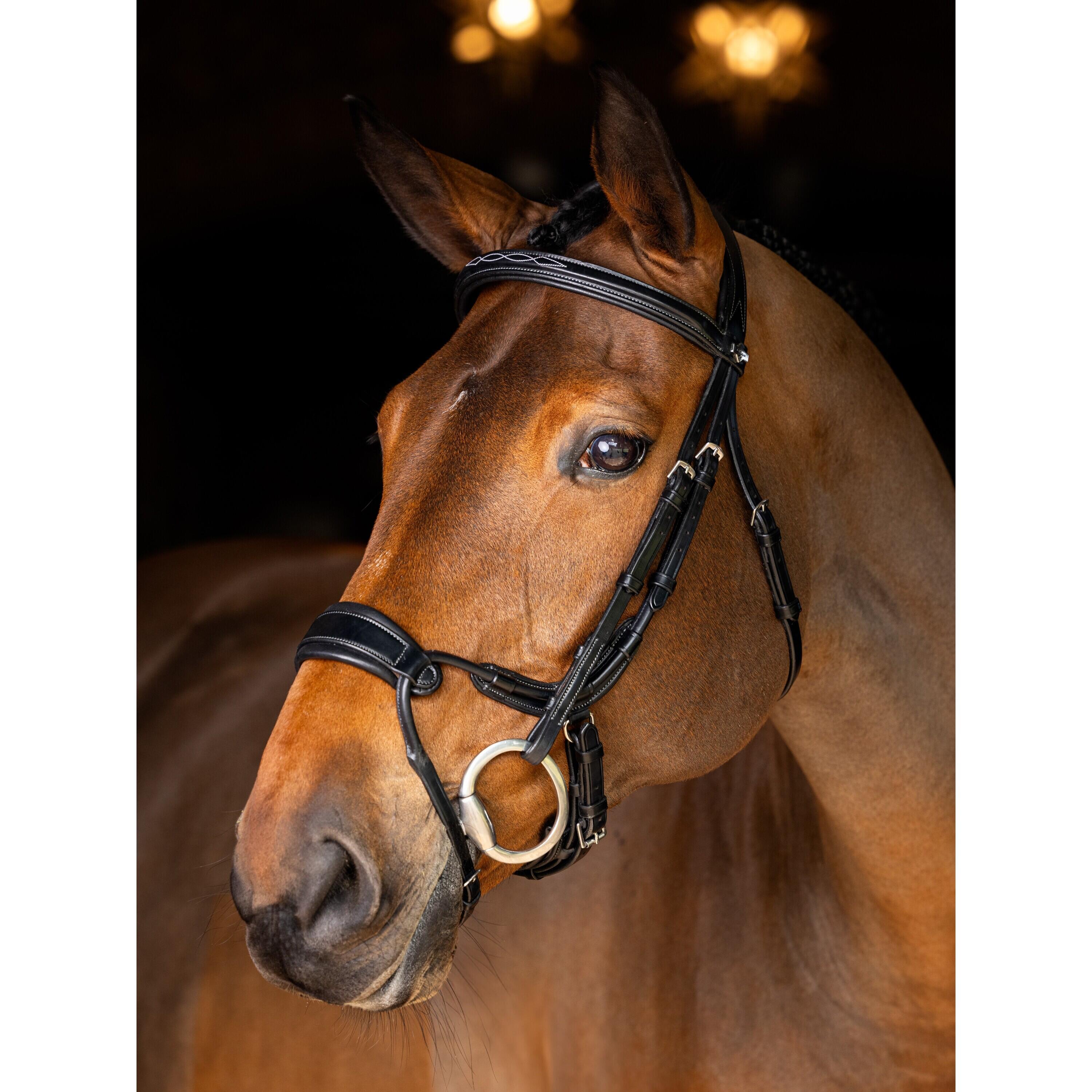 Hoofdstellen voor paarden LeMieux Kudos Clear Arc 2/2