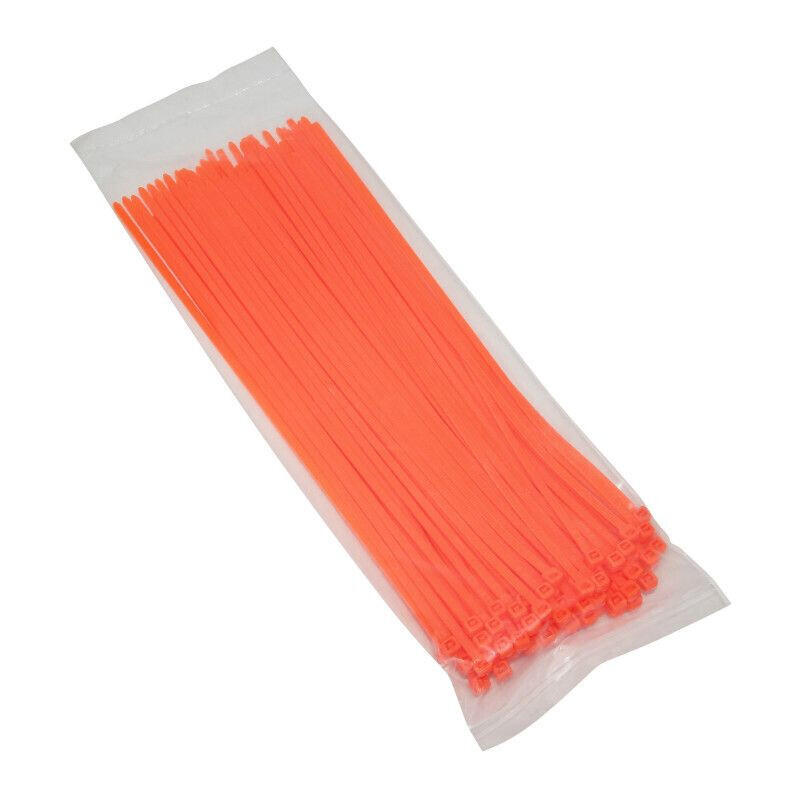 SELECTION P2R Lot de 100 colliers de serrage nylon P2R Rilsan 3,6x250 mm