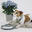 Kentucky Dog Leash Velvet Adjustable Blauw - Big Dog