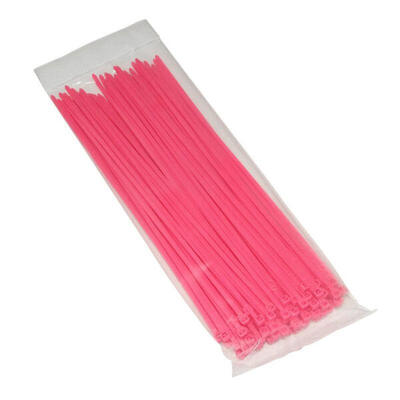 Pak van 100 nylon klemmen p2r rilsan 3.6x250 mm