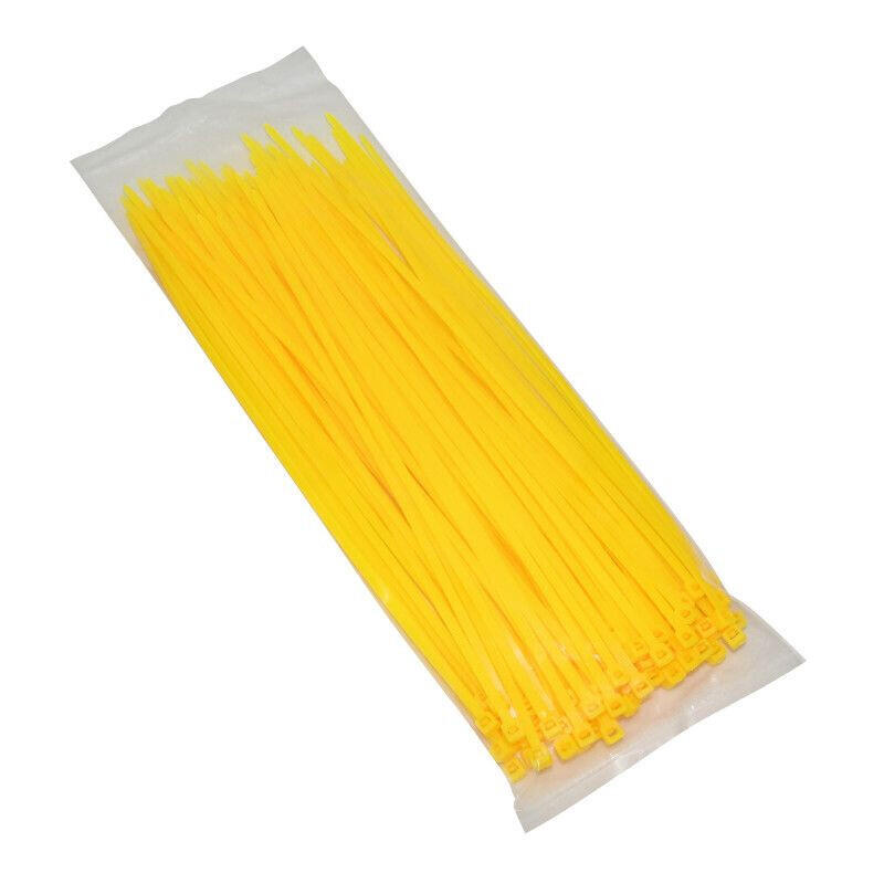 SELECTION P2R Lot de 100 colliers de serrage nylon P2R Rilsan 3,6x250 mm