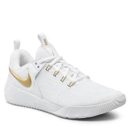 Nike Mn Volley Chaussures Nike Zoom Hyperace 2-Se Adulte