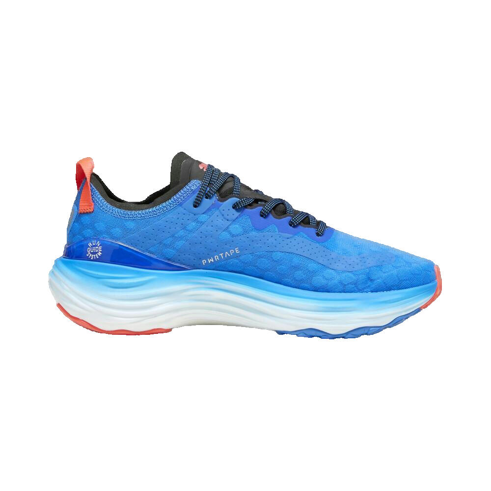 PUMA picture