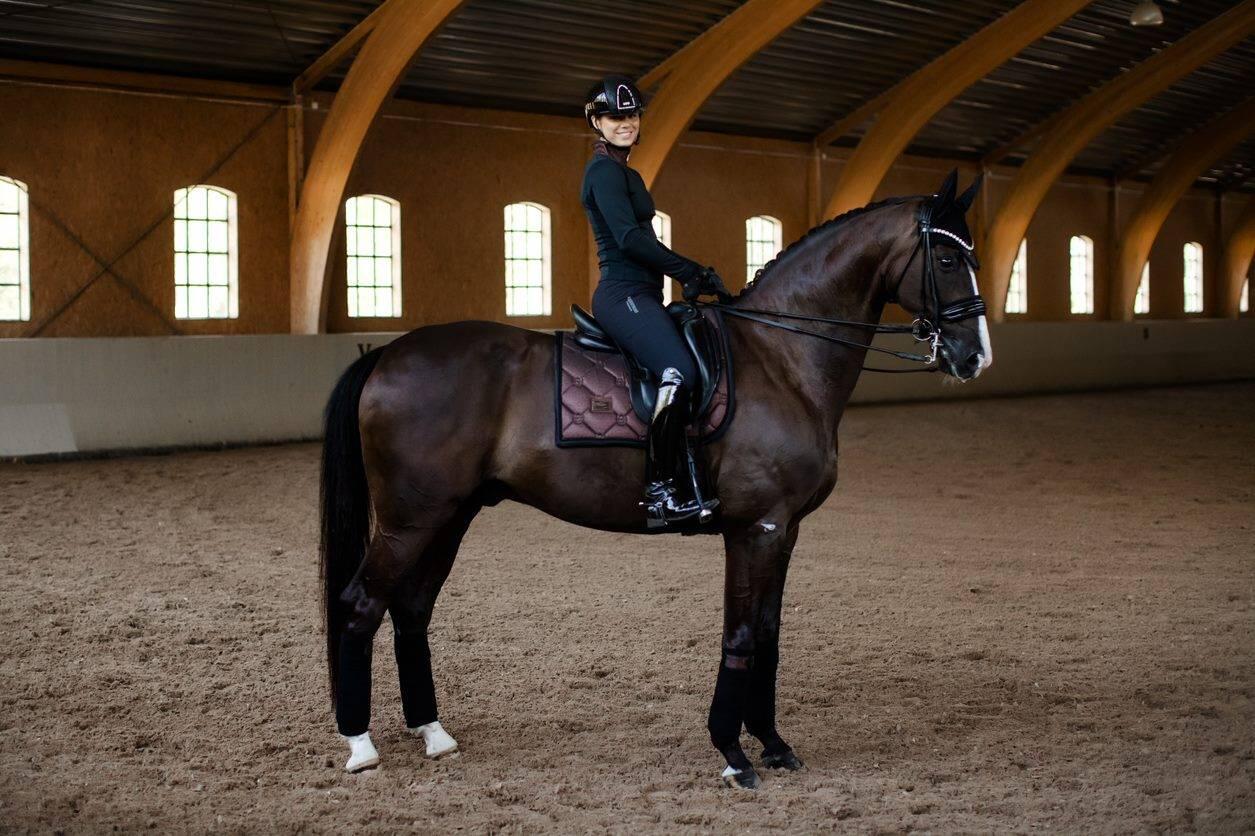 EQUESTRIAN STOCKHOLM picture