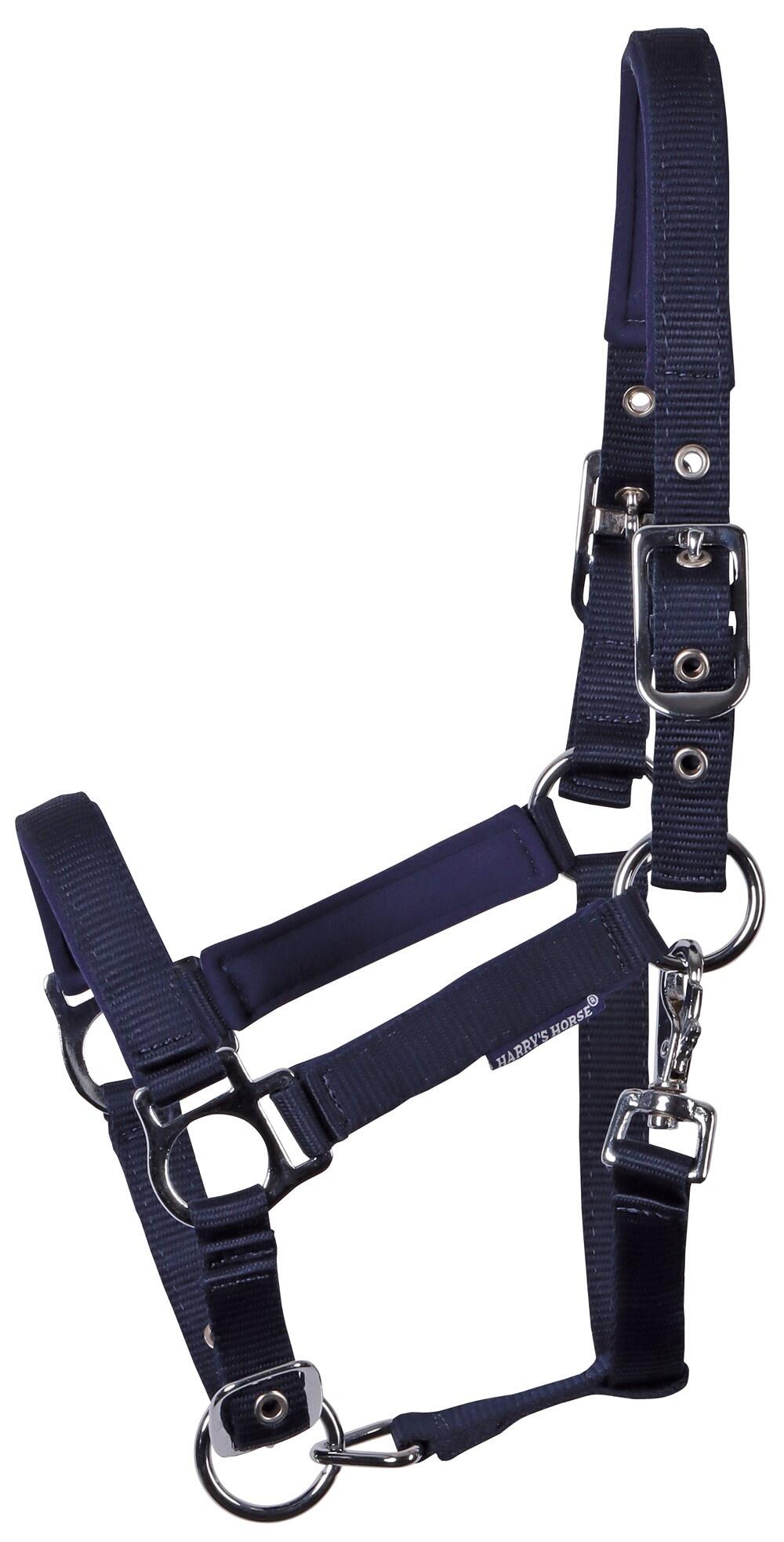 Licol rembourré pour poulain Harry's Horse - Marine 2/3