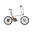 Bicicleta elétrica Dobrável em Carbono ADO, Transmissão por Correia, 14.5kg, LCD