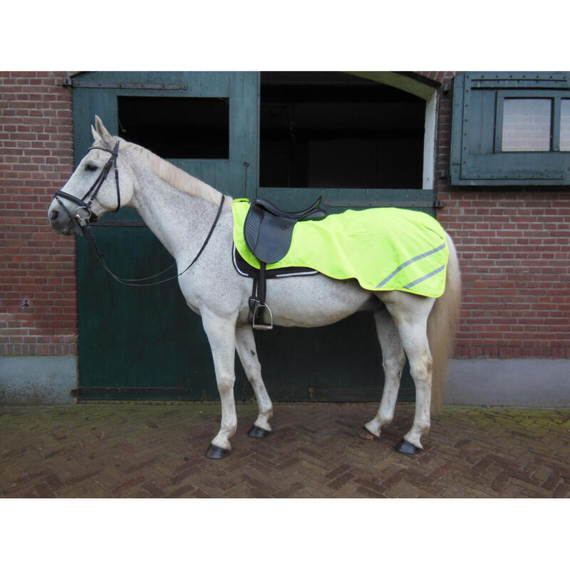 Fluorescerende paardendekens Horka