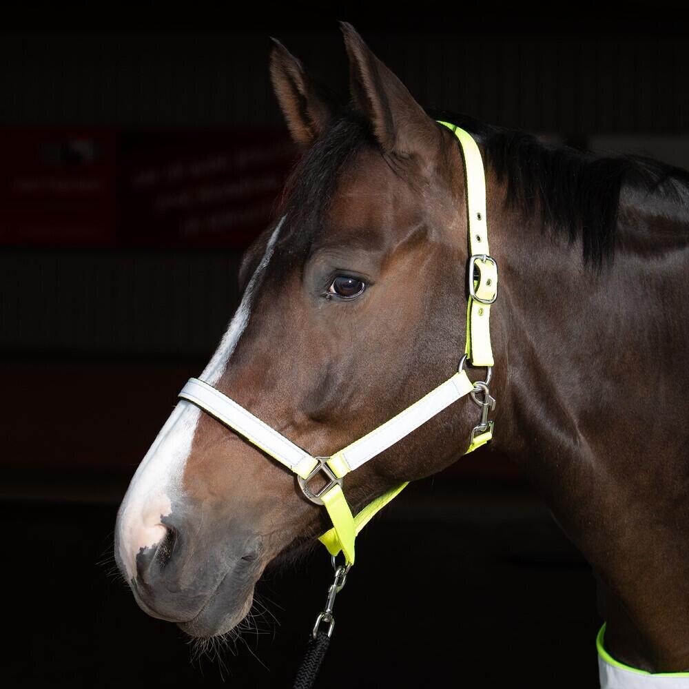 Cavezza riflettente per cavalli Harry's Horse 3/4