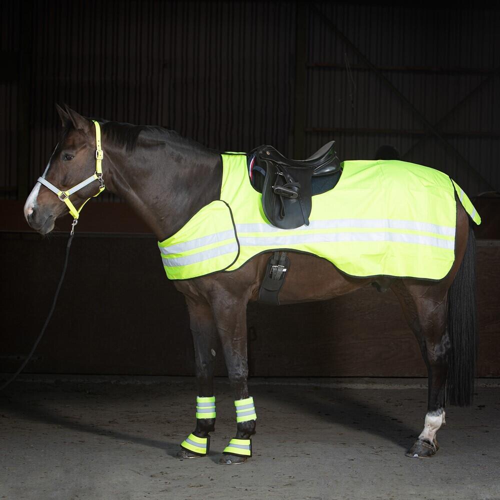 Cavezza riflettente per cavalli Harry's Horse 4/4