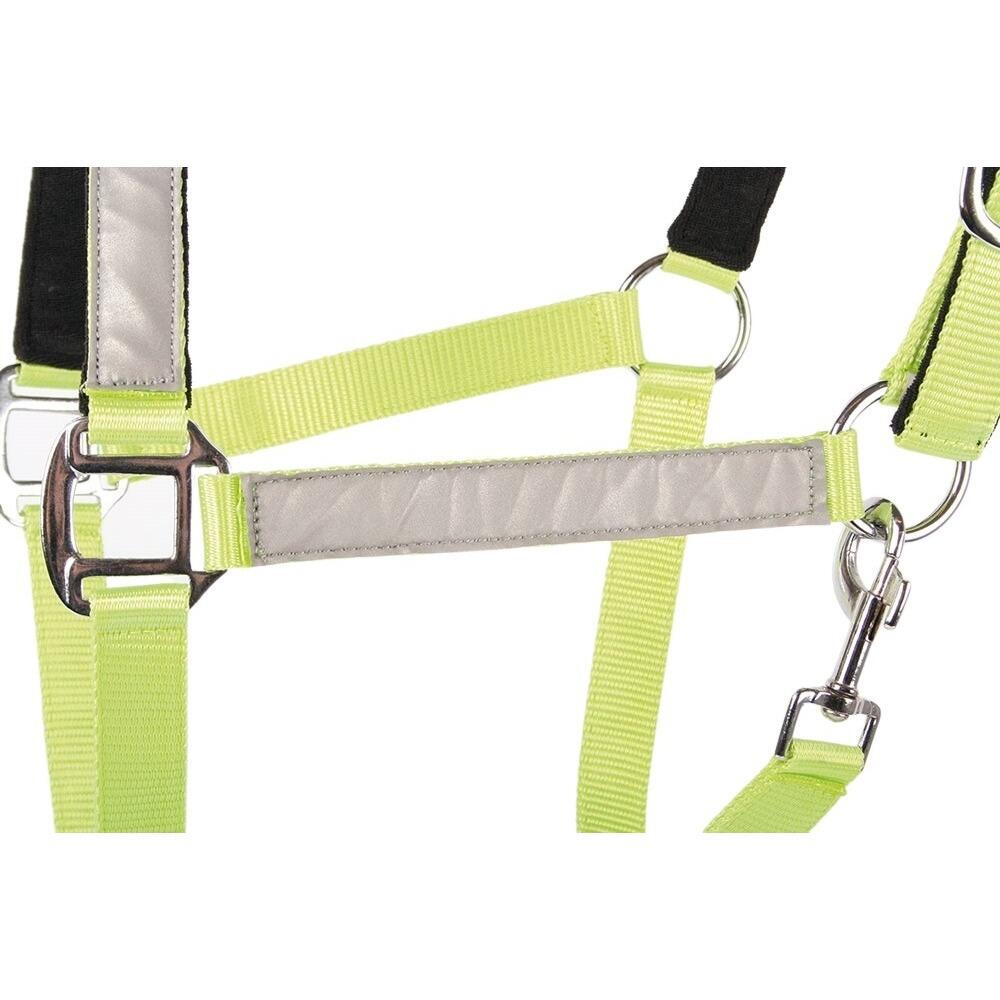 Cavezza riflettente per cavalli Harry's Horse 2/4