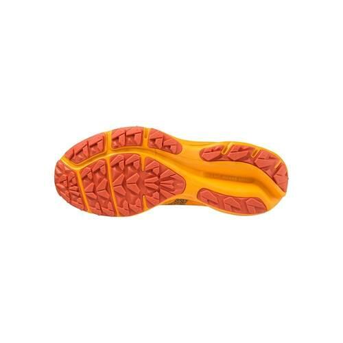 Chaussure running hommes Mizuno Wave Rider Gtx 2/5