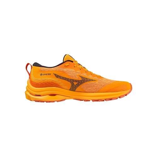 Chaussure running hommes Mizuno Wave Rider Gtx 3/5