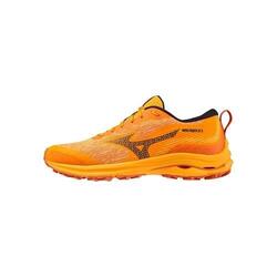 Chaussure running hommes Mizuno Wave Rider Gtx