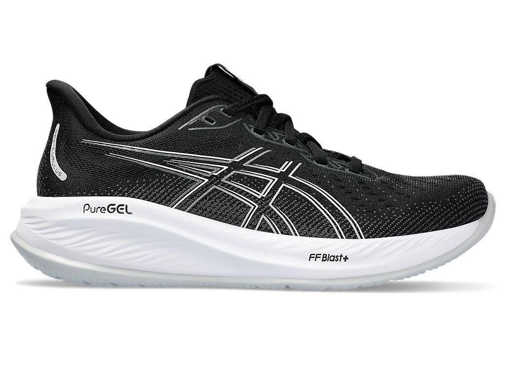 ASICS picture