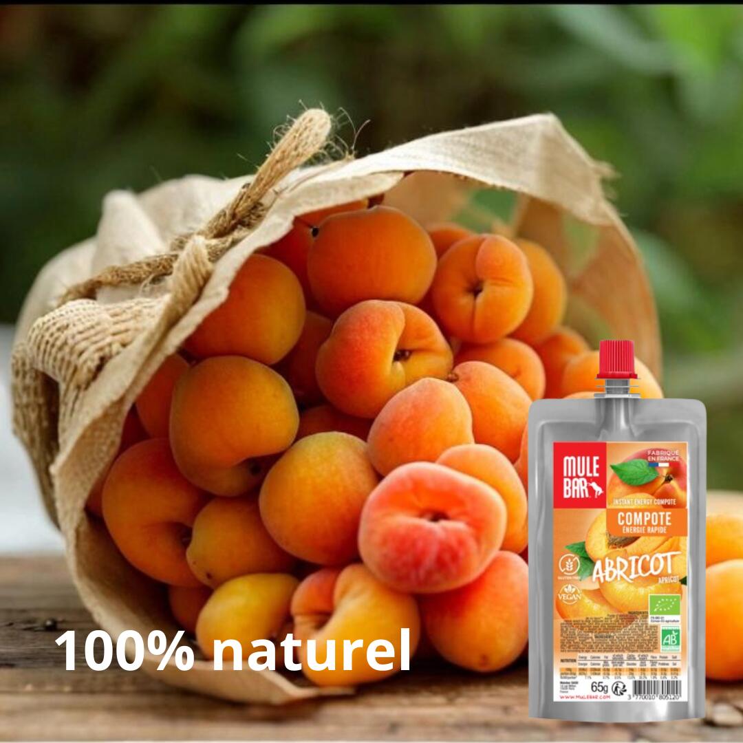 10 compotes énergétiques - bio - vegan - sans gluten - 65g - Abricot 6/7