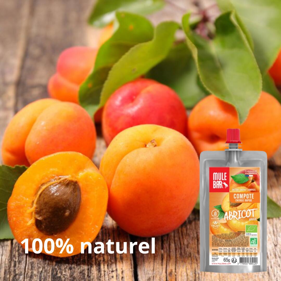 10 compotes énergétiques - bio - vegan - sans gluten - 65g - Abricot 7/7