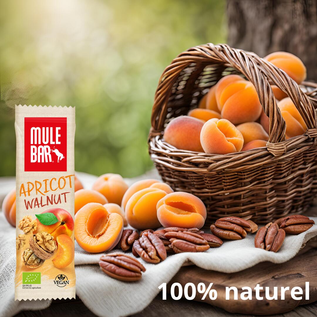 Barre énergétique aux céréales - bio - vegan - 40g - Abricot - Noix de Pécan 5/5