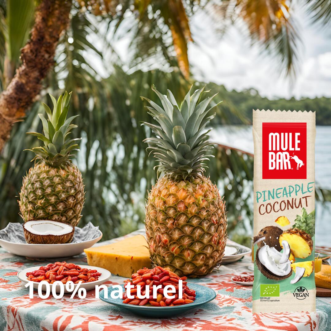 Compote énergétique - vegan - sans gluten - 65g - Ananas - Coco 6/6