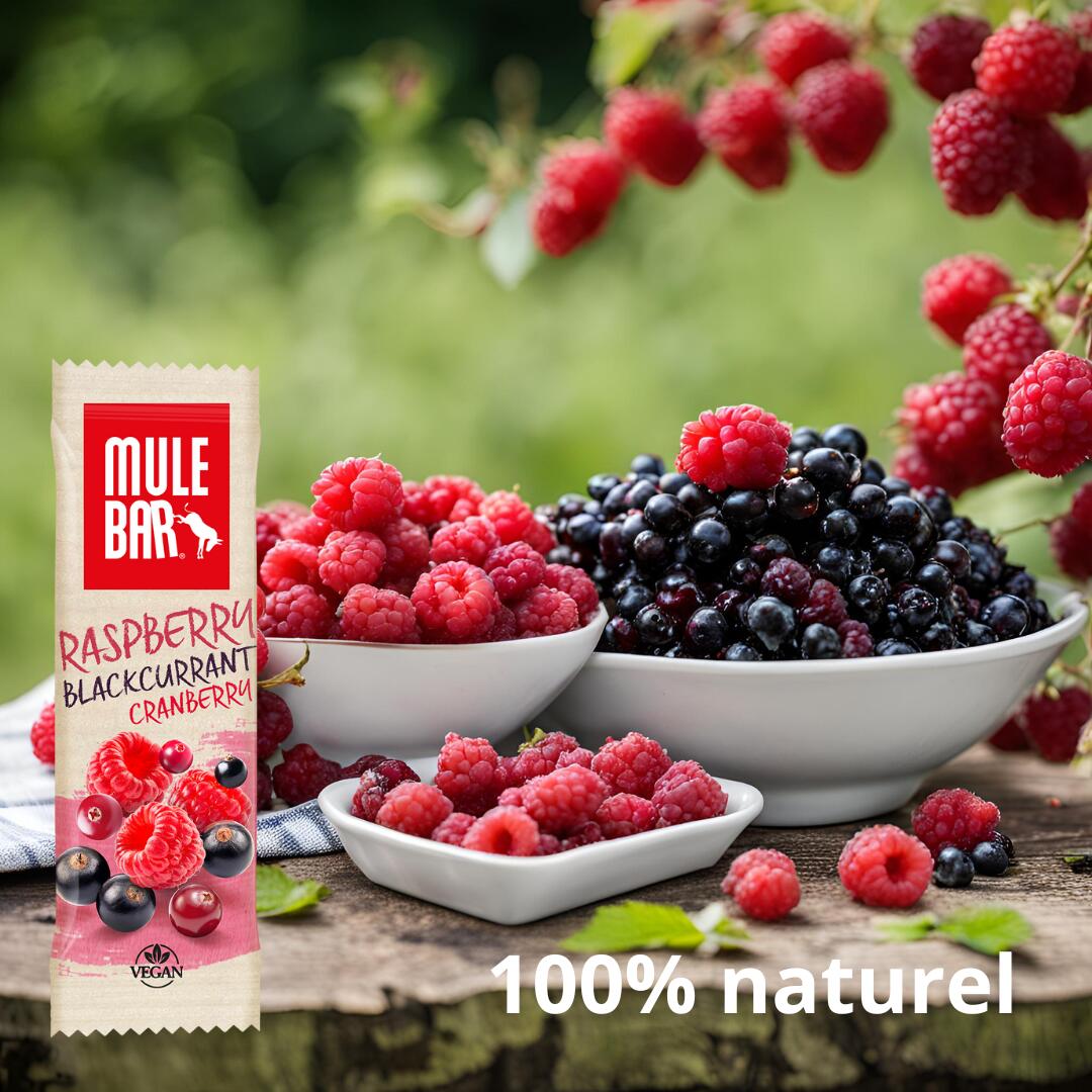 15 barres énergétiques aux céréales - vegan - 40g - Fruits rouges 7/7