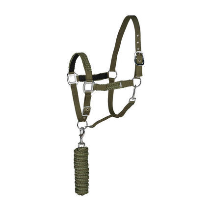 Ensemble licol et longe pour cheval Horze Chicago