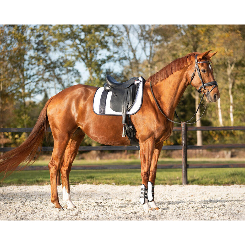 Dressuurmat voor paarden QHP Kae