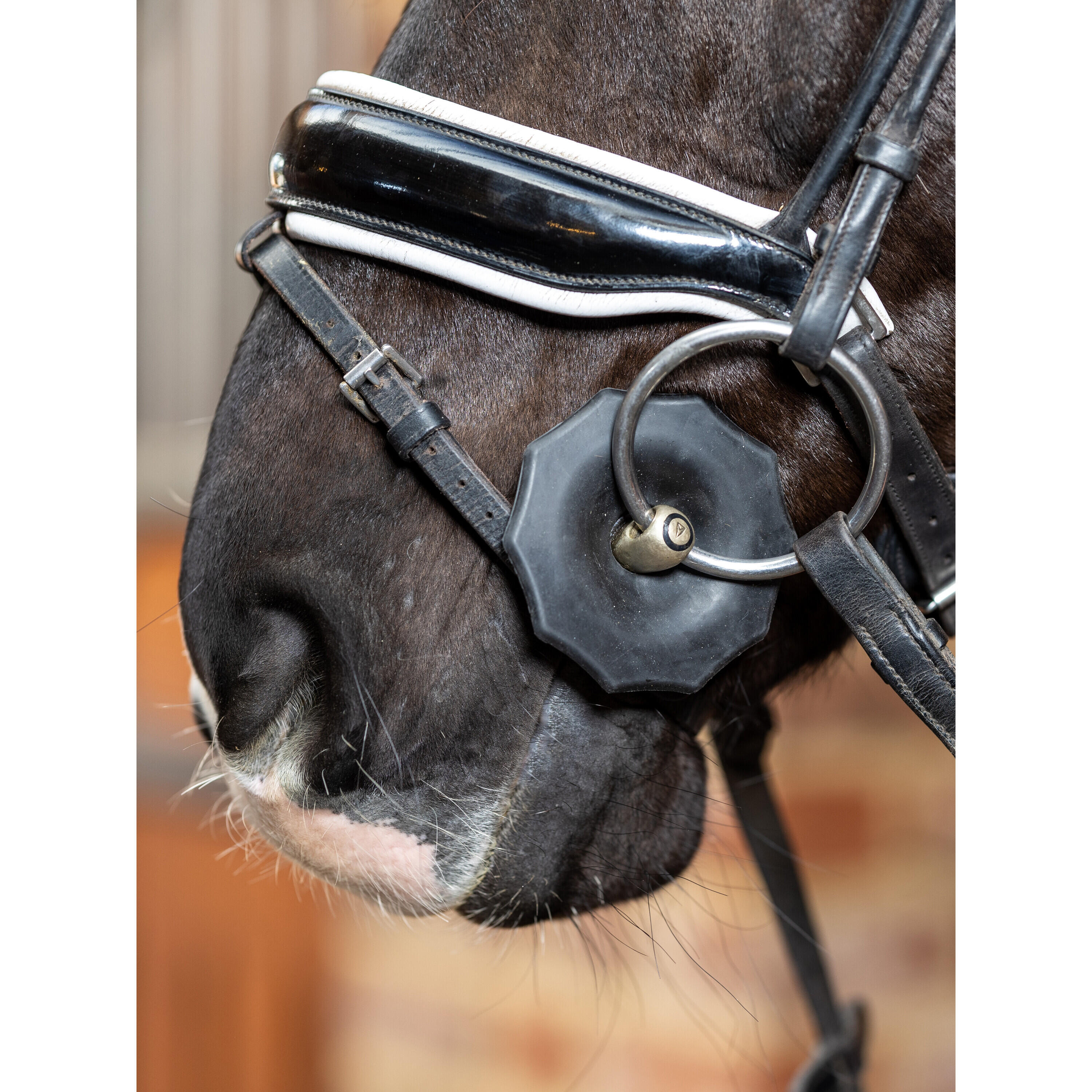 2-rings rubberen paardenbit LeMieux 2/7
