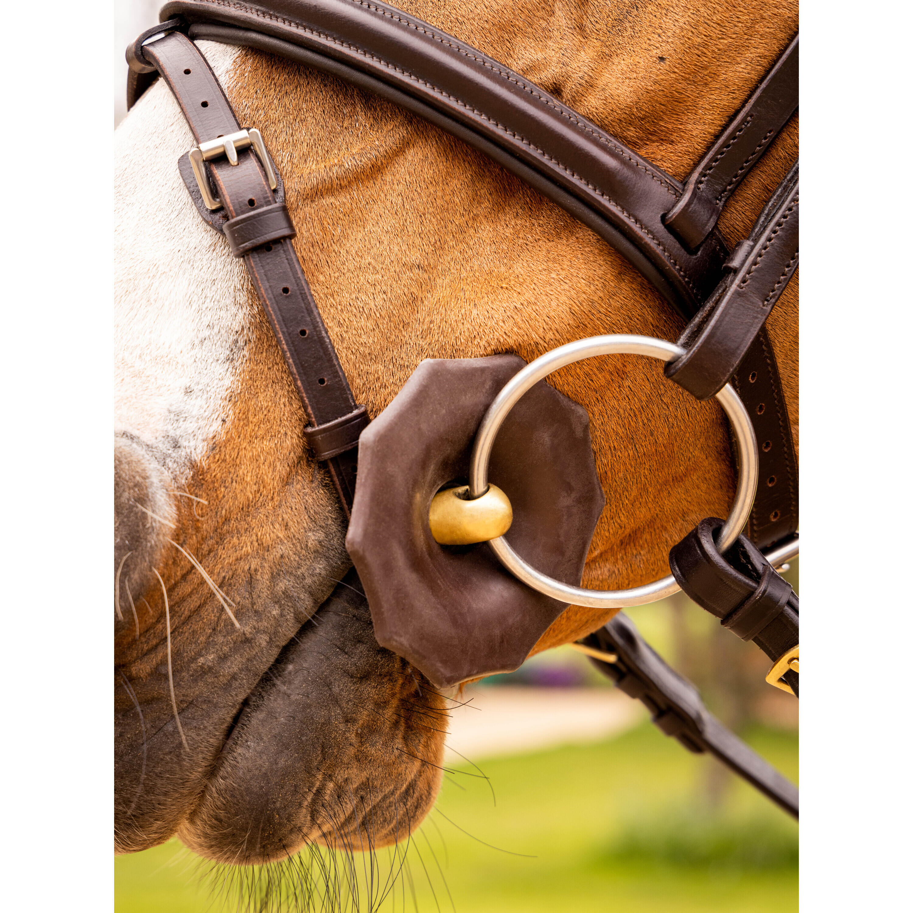 2-rings rubberen paardenbit LeMieux 2/7
