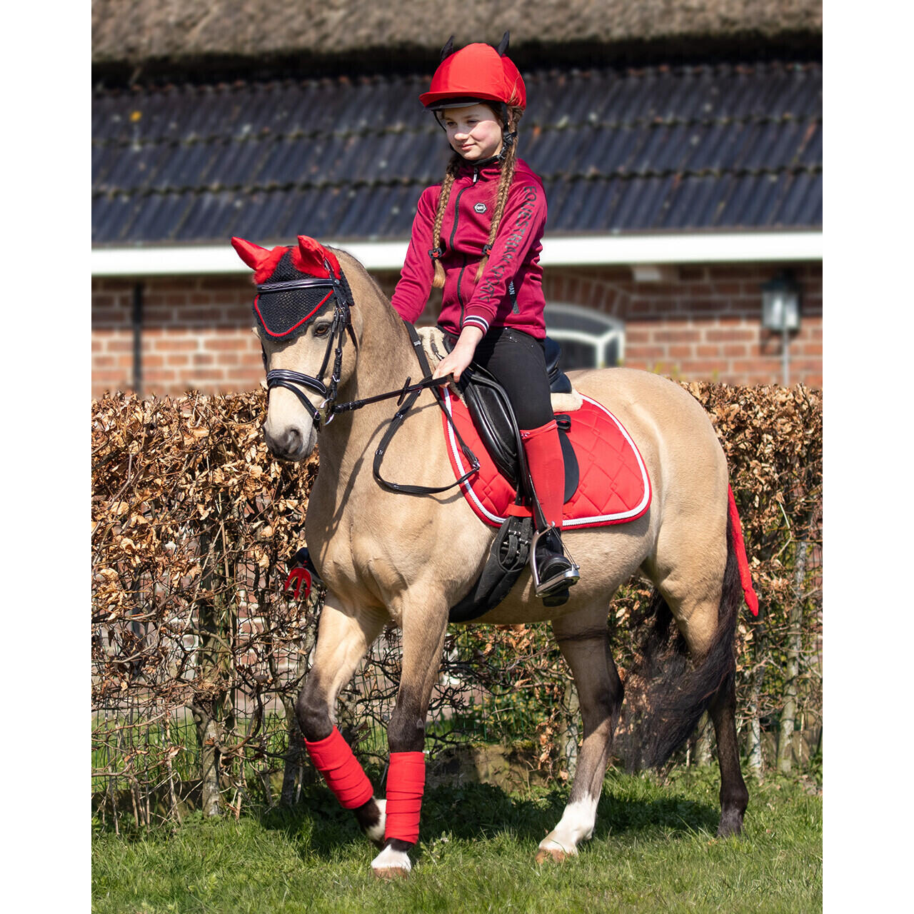 Reitpeitsche QHP Halloween 3/4