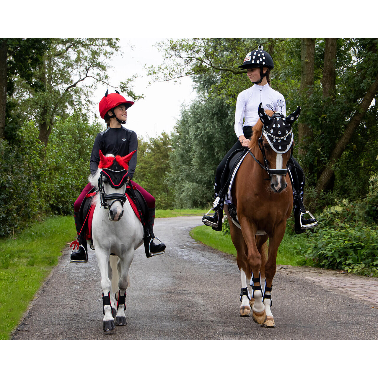 Reitpeitsche QHP Halloween 4/4