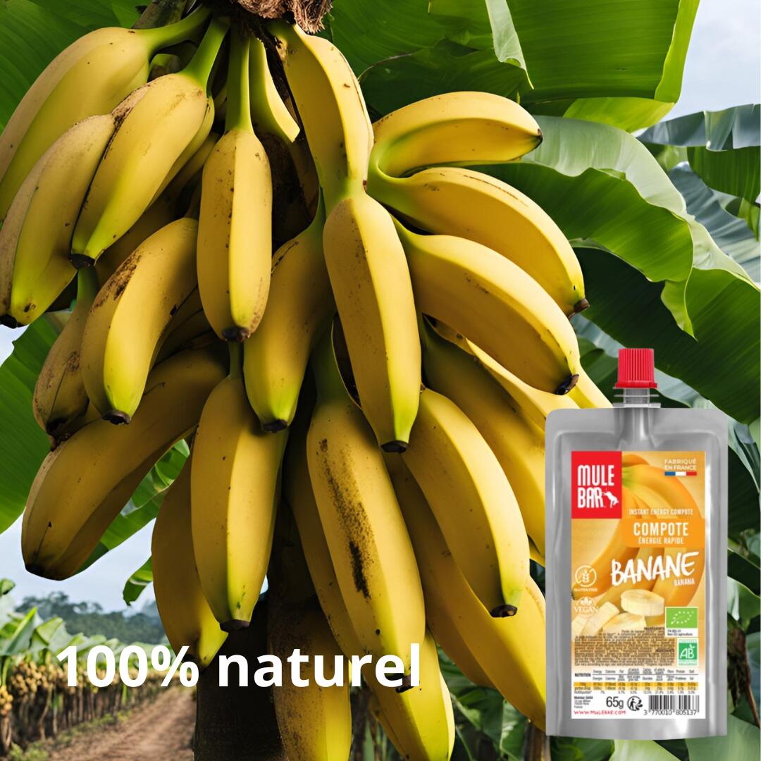 Boite de 10 compotes énergétiques - bio - vegan - sans gluten - 65g - Banane 6/6