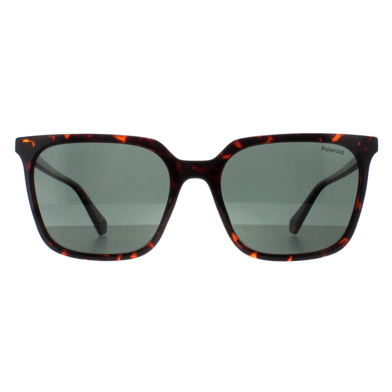 Polaroid Square Womens Havana Green Polarized PLD 4163/S