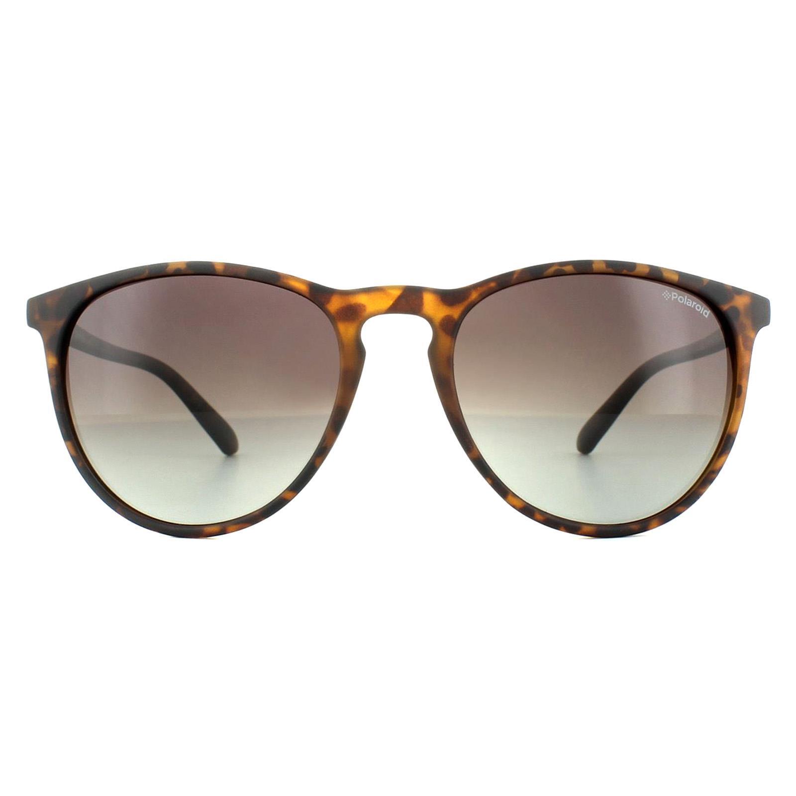 Polaroid Cat Eye Womens Havana Brown Gradient Polarized Sunglasses