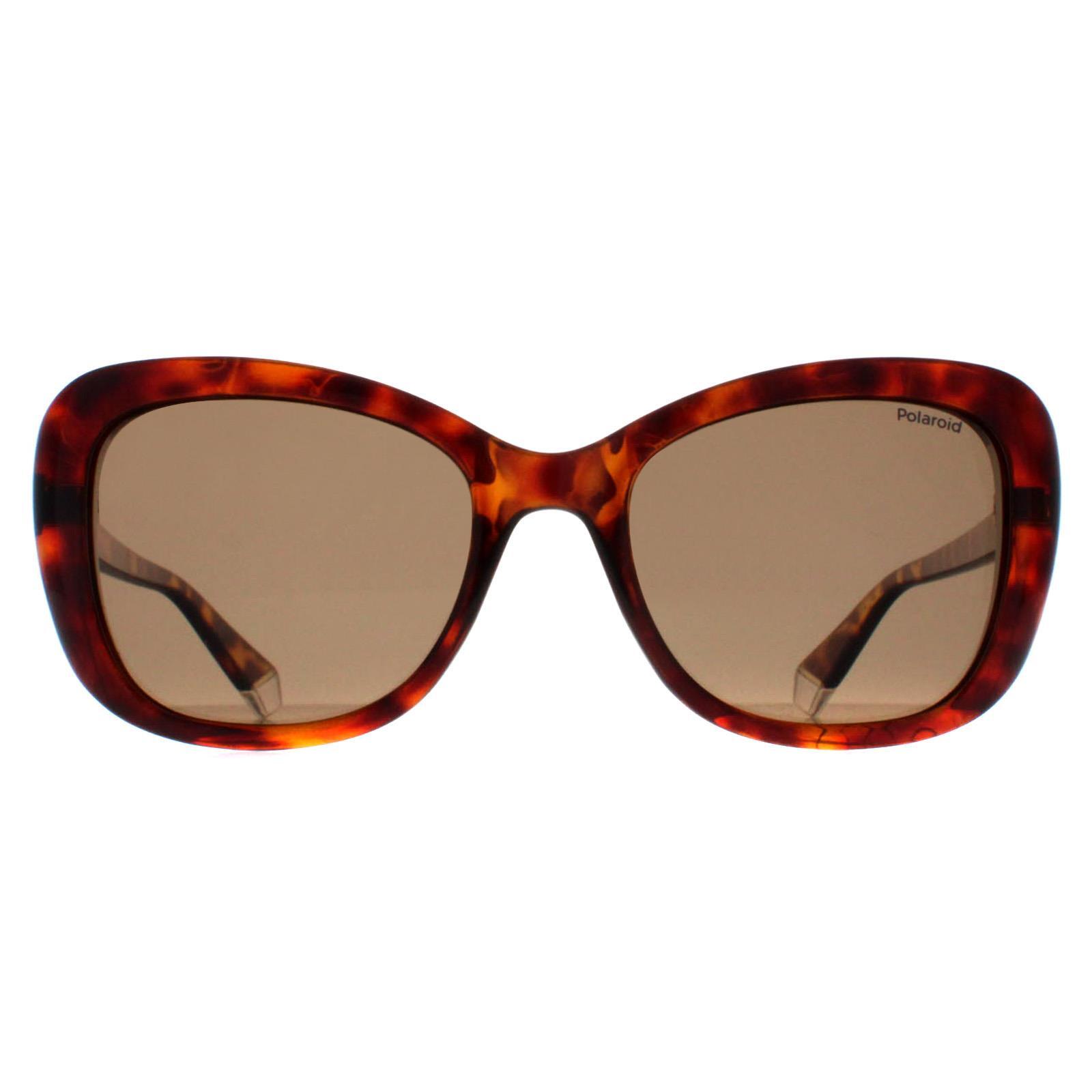 Polaroid Butterfly Womens Havana Bronze Polarized PLD 4132/S