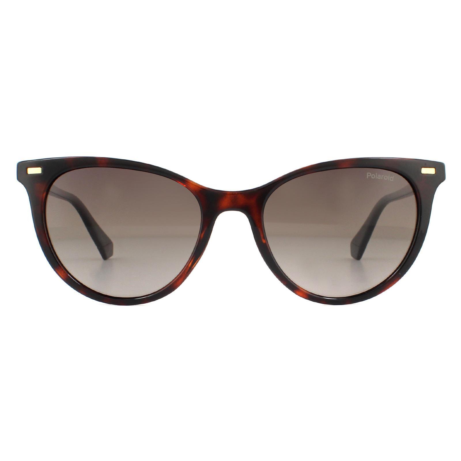 Polaroid Cat Eye Womens Havana Brown Gradient Polarized Sunglasses