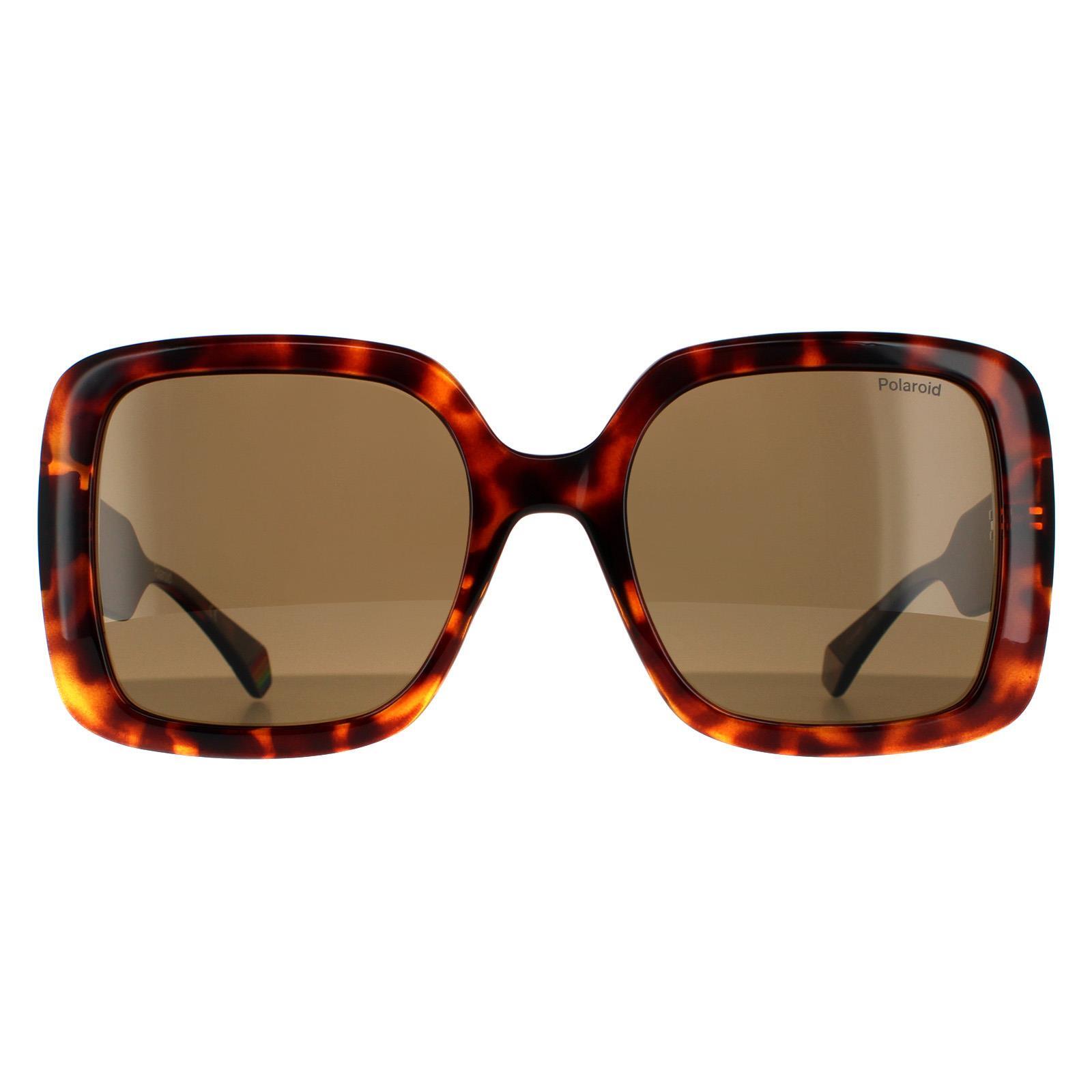 Polaroid Square Womens Dark Havana Bronze Polarized Sunglasses