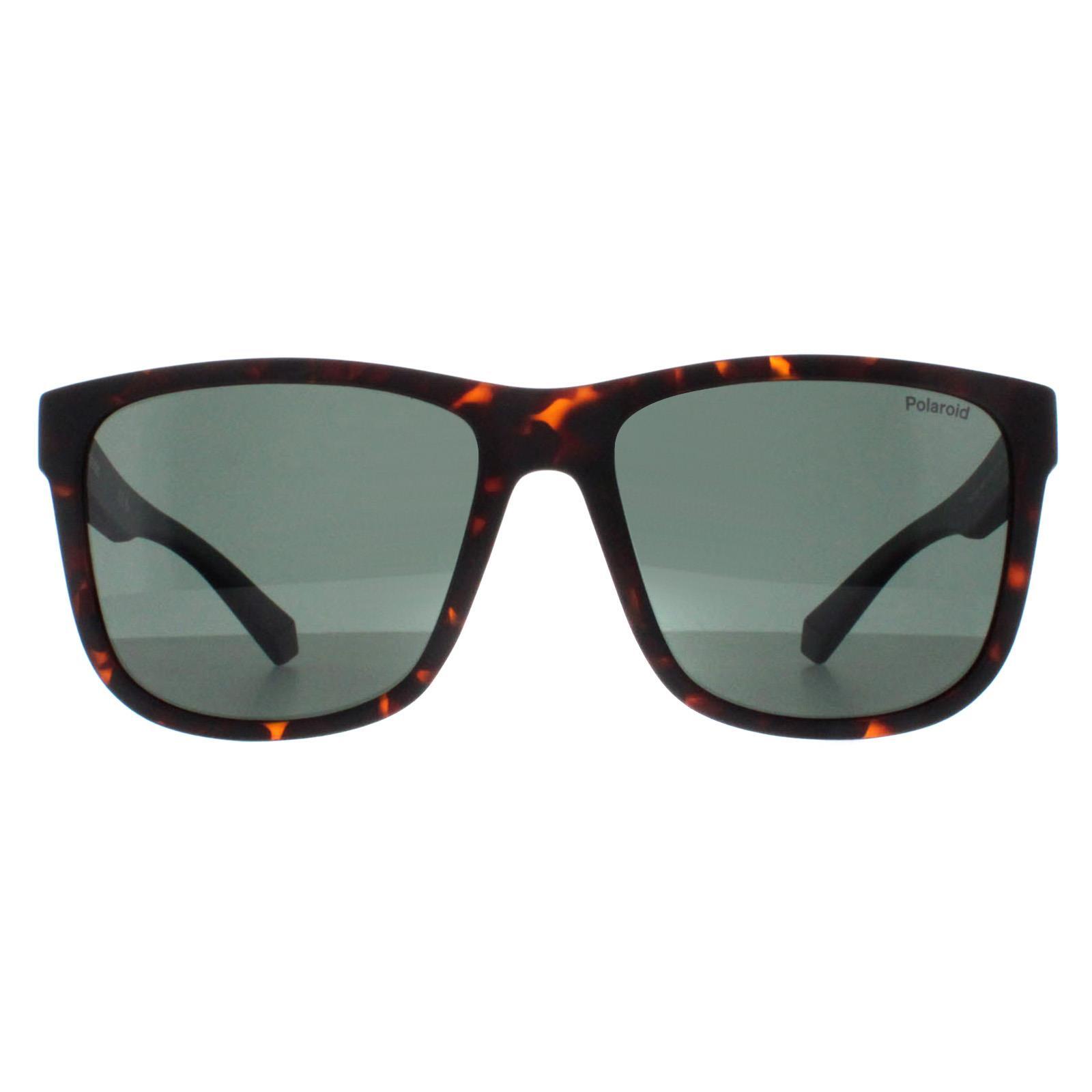 Polaroid Square Mens Matte Brown Havana Green Polarized PLD 2155/S
