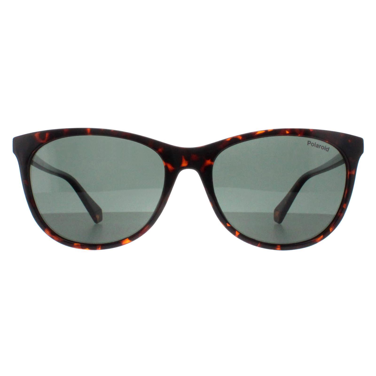Polaroid Cat Eye Womens Havana Green Polarized PLD 4161/S