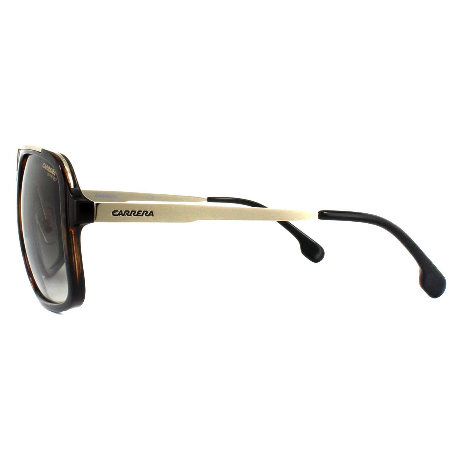 Carrera Square Unisex Havana Gold Brown Gradient Sunglasses