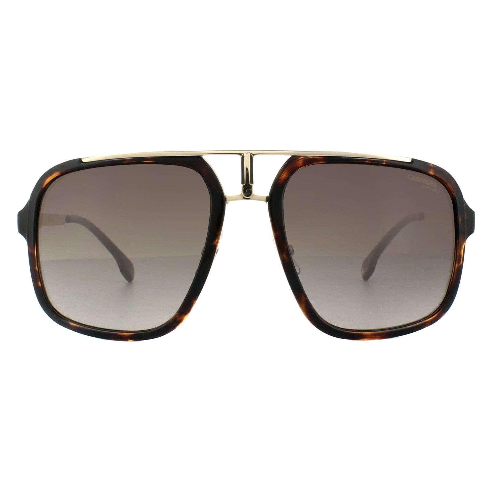 Carrera Square Unisex Havana Gold Brown Gradient Sunglasses