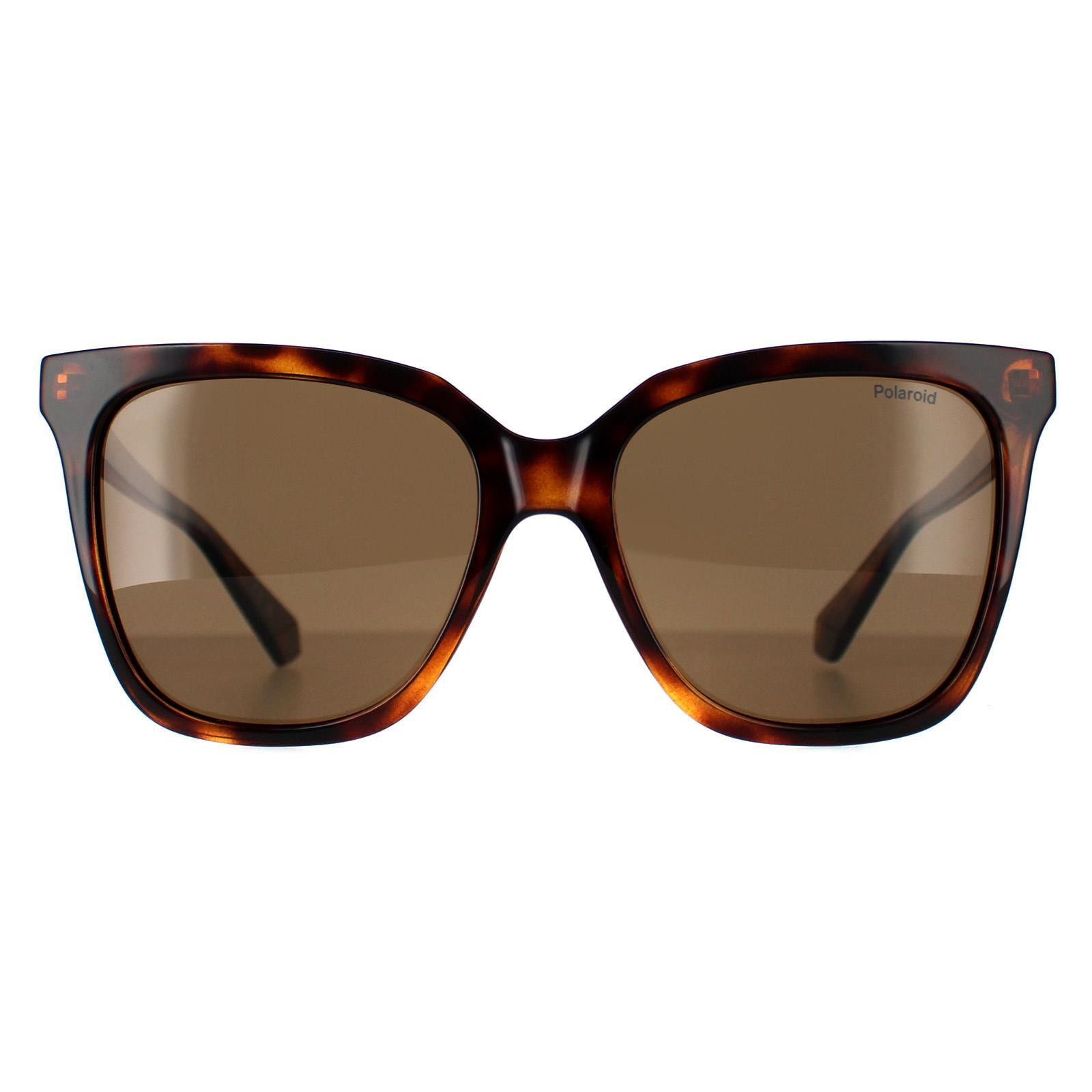 Polaroid Square Womens Havana Bronze Polarized PLD 4155/S/X