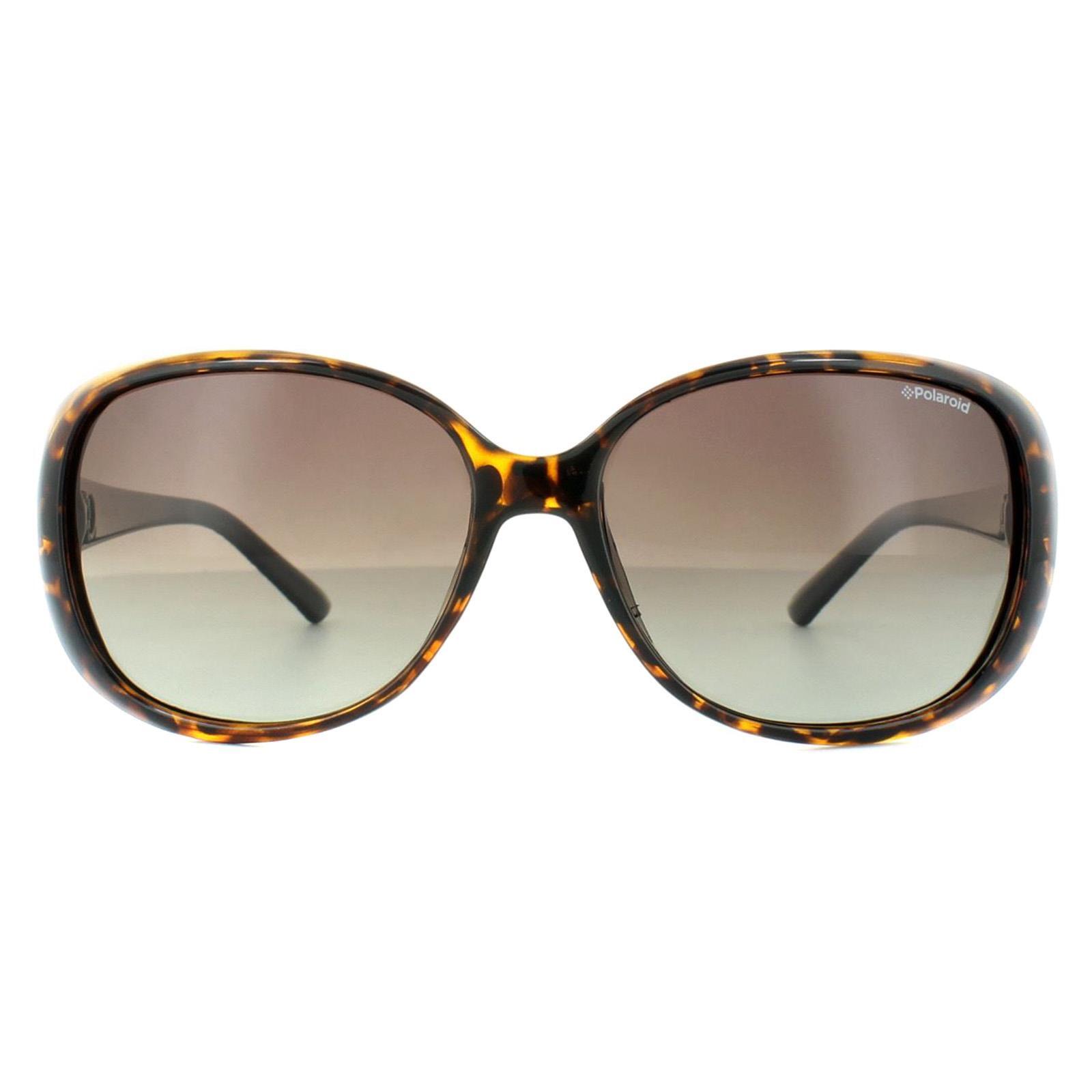 Polaroid Butterfly Womens Havana Black Brown Gradient Polarized Sunglasses