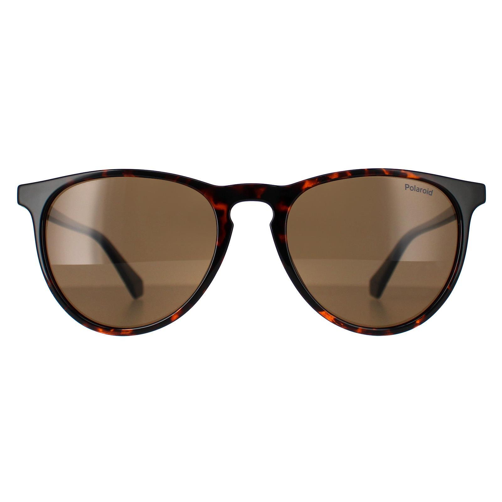 Polaroid Rectangle Unisex Dark Havana Bronze Polarized PLD 4152/S