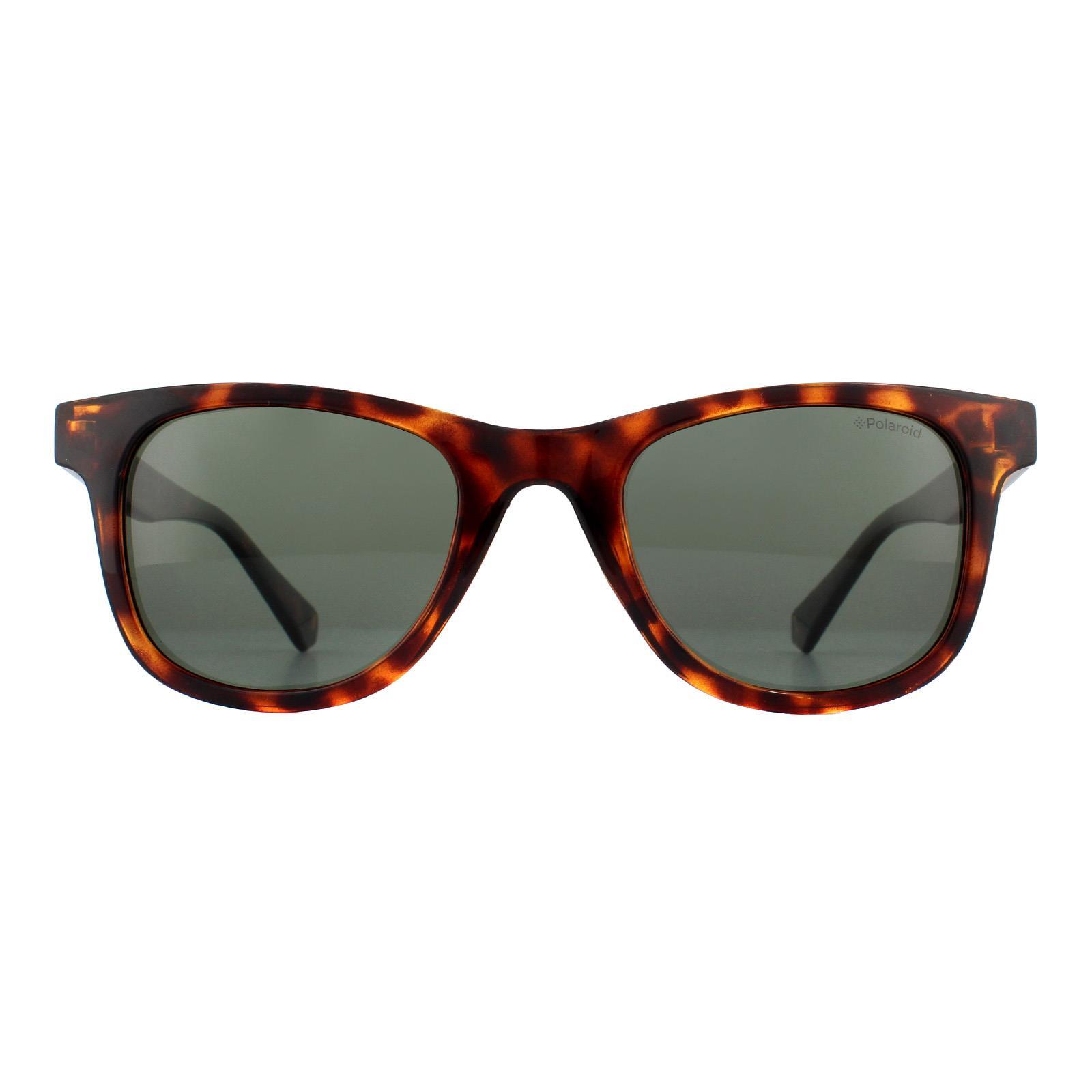 Polaroid Rectangle Unisex Dark Havana Green Polarized Sunglasses