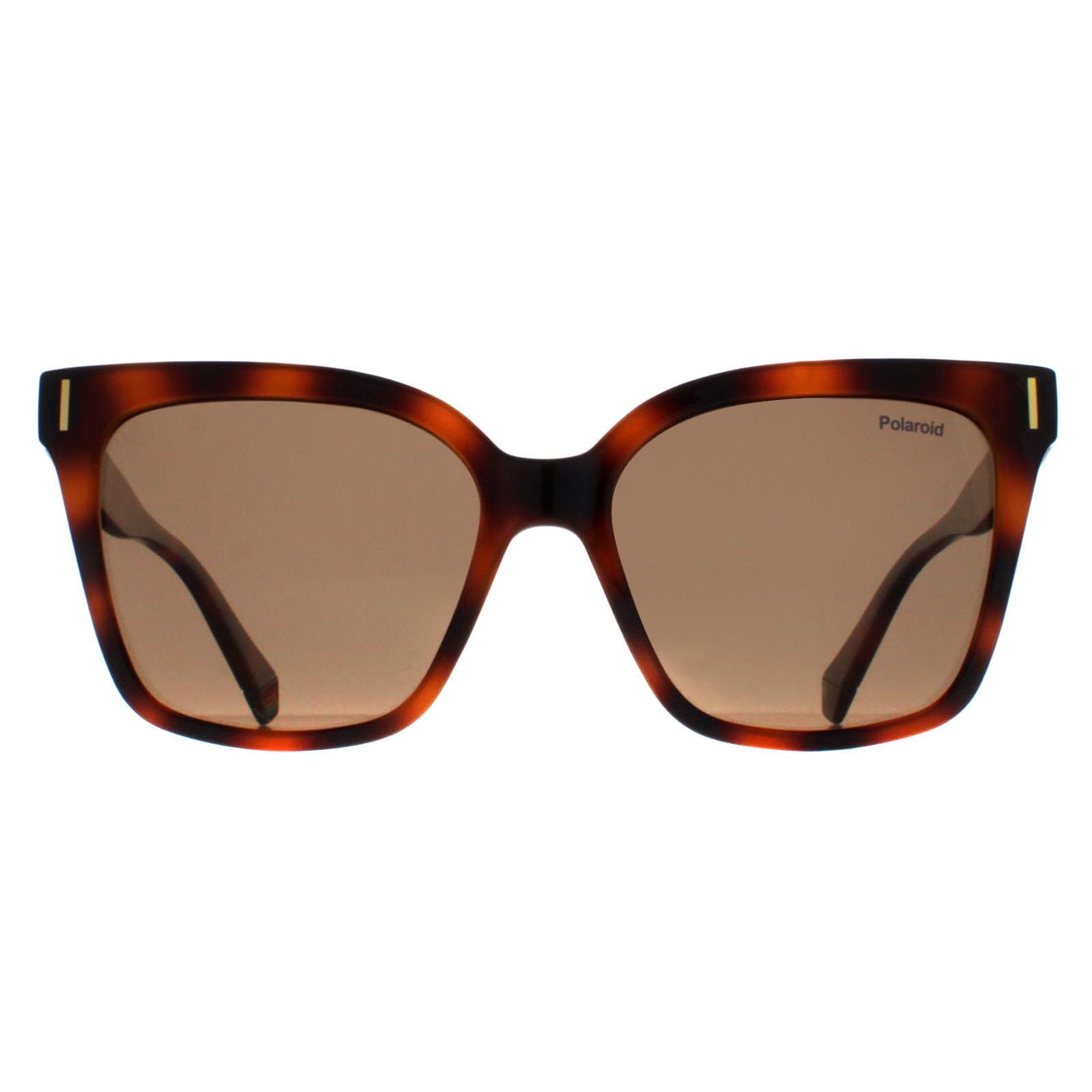 Polaroid Cat Eye Womens Havana Bronze Polarized PLD 6192/S